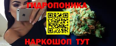 соль ск Кулебаки