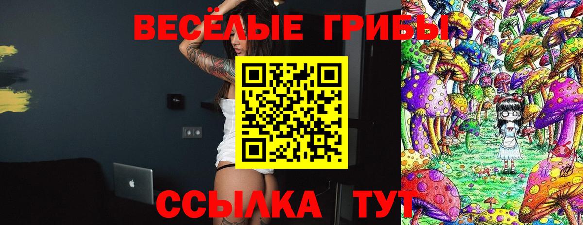 Каменск-Уральский  Псилоцибиновые грибы ЛСД  Вход с VPN 